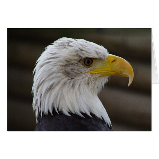 白頭症 (正面横)