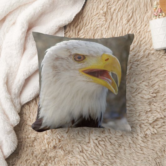 白頭症 クッション (ブランケット)