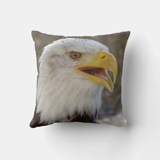 白頭症 クッション (裏面)