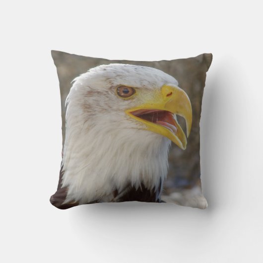 白頭症 クッション (正面)