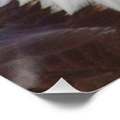 白頭症 ポスター (コーナー)