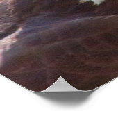 白頭症 ポスター (角)