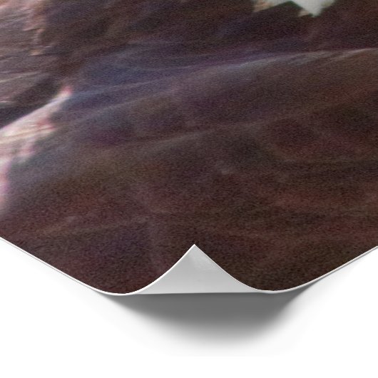 白頭症 ポスター (角)