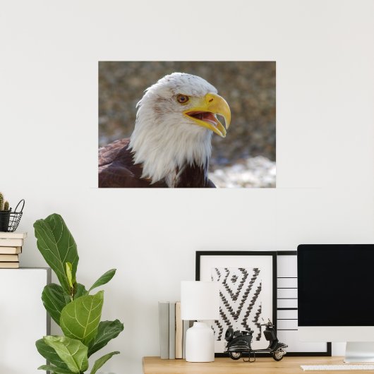 白頭症 ポスター (ホームオフィス)