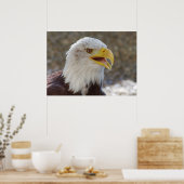 白頭症 ポスター (キッチン)