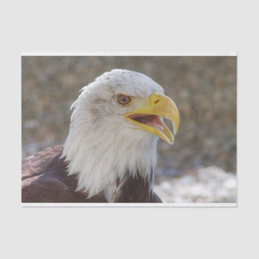 白頭症 薄葉紙 (正面)