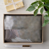 白頭症 薄葉紙 (ギフト)