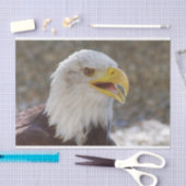 白頭症 薄葉紙 (クラフト)