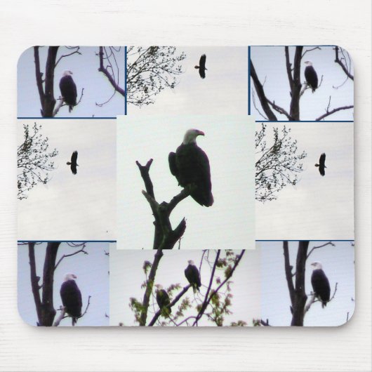 白頭鷲のモンタージュ マウスパッド (正面)