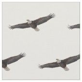 白頭鷲の上昇 ファブリック (クローズアップ)