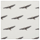 白頭鷲の上昇 ファブリック (見本)