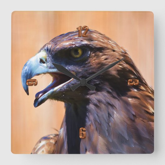 白頭鷲の野性生物の芸術のポートレートII スクエア壁時計 (正面)
