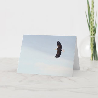 白頭鷲の飛んでいるなカード カード