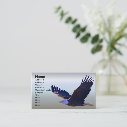 白頭鷲の飛行 名刺 (スタンド正面)