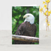 白頭鷲の鳥の挨拶状 カード (黄色い花)