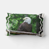 白頭鷲の鳥の枕 ランバークッション (裏面)