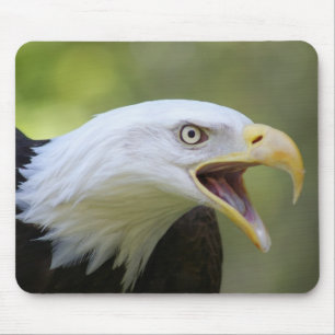 白頭鷲のmousepad マウスパッド