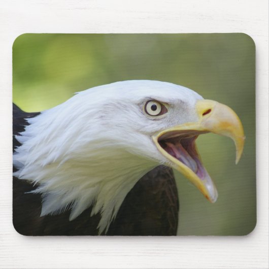 白頭鷲のmousepad マウスパッド (正面)