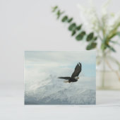 白頭鷲及び山 ポストカード (スタンド正面)