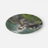 白頭鷲大きい捕獲物 ペーパープレート (アングル)