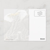 白頭鷲家族のポートレート ポストカード (裏面)