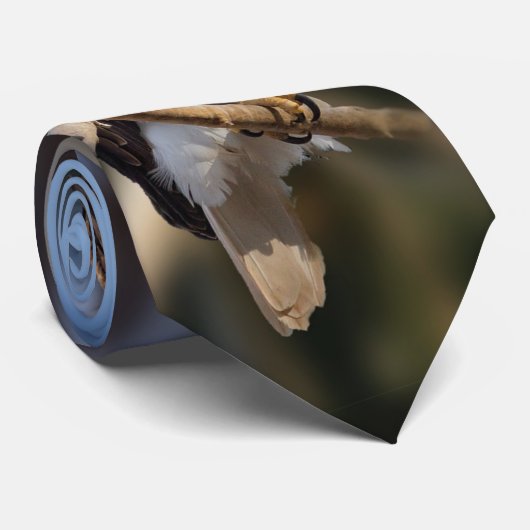 白頭鷲 ネクタイ (ロール)