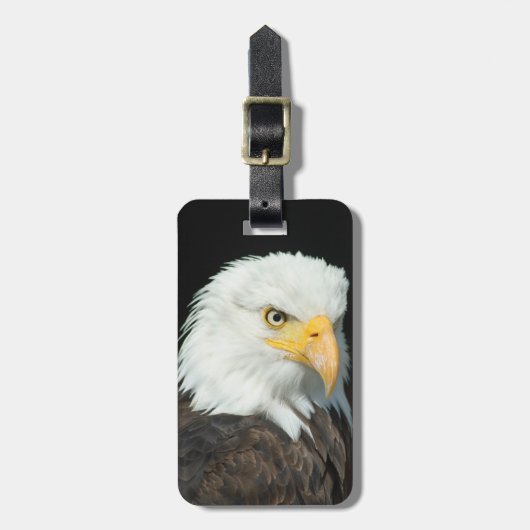 白頭鷲 ラゲッジタグ (正面縦)