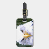 白頭鷲 ラゲッジタグ (正面縦)