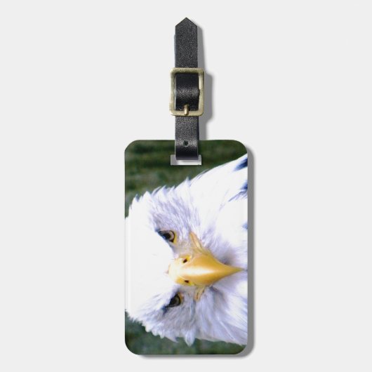 白頭鷲 ラゲッジタグ (正面縦)