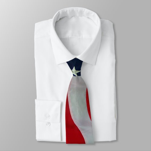 白頭鷲 --米国旗 ネクタイ (タイ)