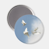 白飛んでいる鳩マグネット マグネット (正面/裏面)