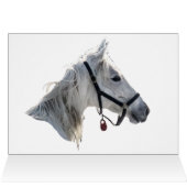 白馬が雪の中を駆け回る (内部横(上))