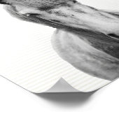 白馬と白馬の白馬の写真 ポスター (角)