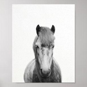 白馬と白馬の白馬の写真 ポスター