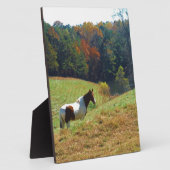 白馬と黒馬、秋の池 フォトプラーク (側面)