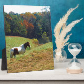 白馬と黒馬、秋の池 フォトプラーク (側面)