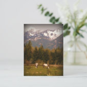 白馬に願い事を！ ポストカード (スタンド正面)