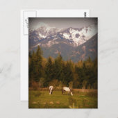 白馬に願い事を！ ポストカード (正面/裏面)