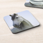 白馬のポートレート コースター (左側)