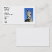 白馬の名刺 名刺 (正面/裏面)