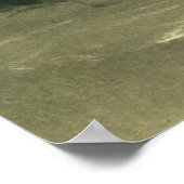 白馬の女。 ポスター (角)