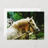 白馬の接近 ポストカード (正面/裏面)