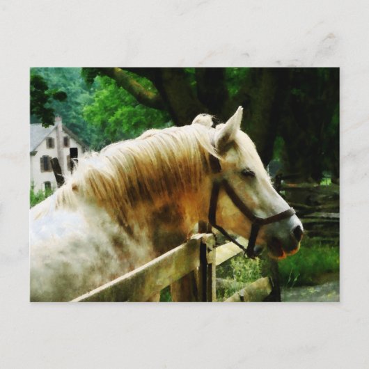 白馬の接近 ポストカード (正面)
