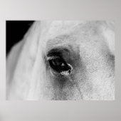 白馬の目 ポスター (正面)