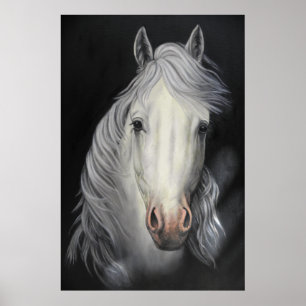 白馬の種馬の絵画ポスター ポスター