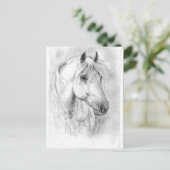 白馬の頭 ポストカード (スタンド正面)