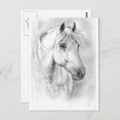 白馬の頭 ポストカード (正面/裏面)