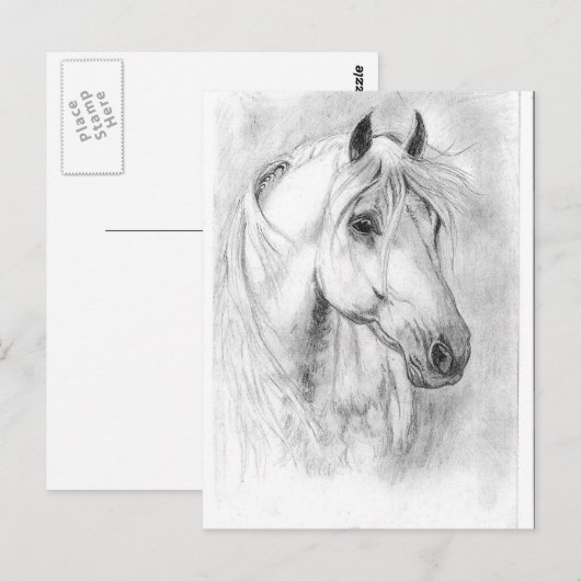 白馬の頭 ポストカード (正面/裏面)