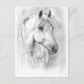 白馬の頭 ポストカード (正面)