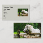 白馬を遠くに見る 名刺 (正面/裏面)